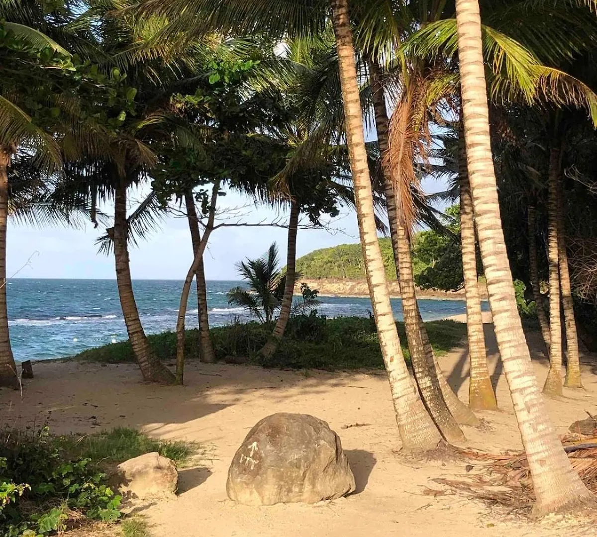 Passion Caraibes - Bungalow Climatise Avec Jacuzzi Privatif Sainte-Rose Сasa de vacaciones