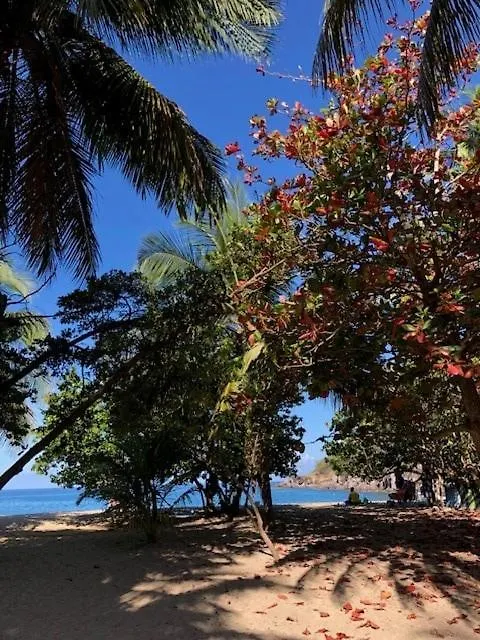 度假居 Passion Caraibes - Bungalow Climatise Avec Jacuzzi Privatif 圣罗斯