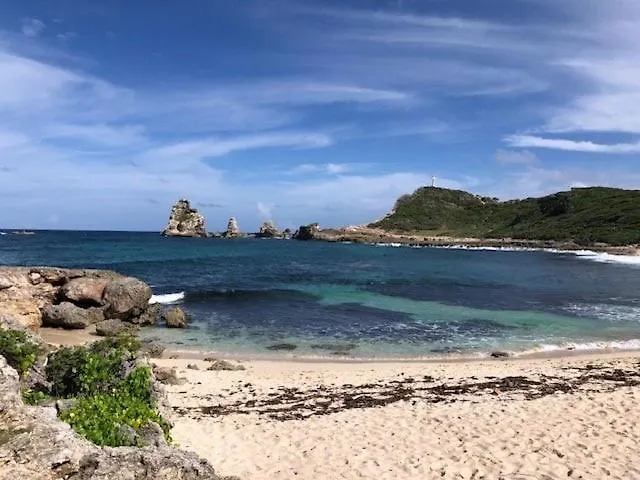 Passion Caraibes - Bungalow Climatise Avec Jacuzzi Privatif 圣罗斯 度假居